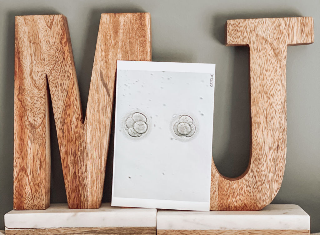 MJ wooden letters with a picture of two embryos