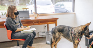 Masked woman sits at a desk holding a pen and paper with a dog in her office sniffing someone's hand