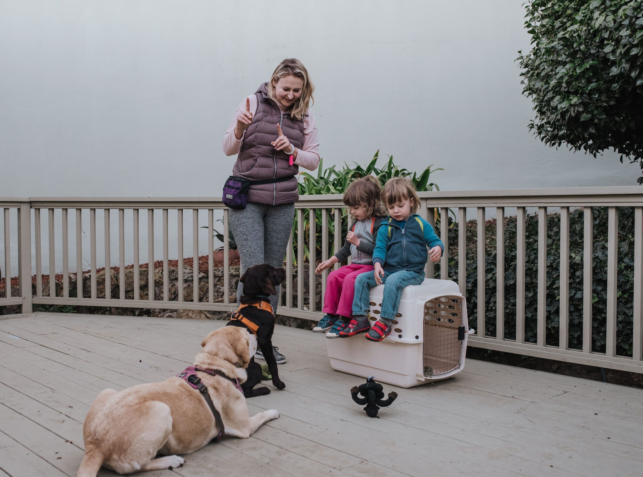 Dog Meets Baby: Podcast Episode #336